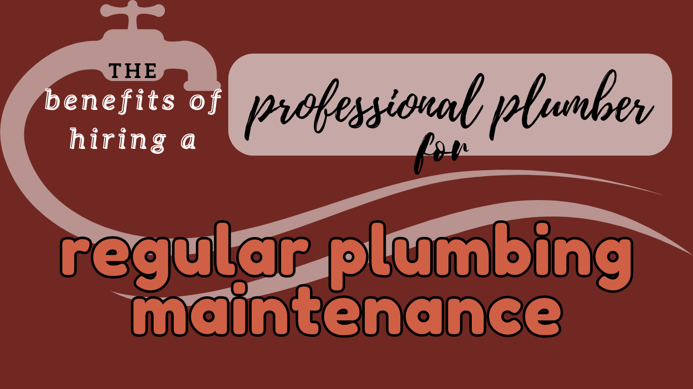 Regular Plumbing Maintenance